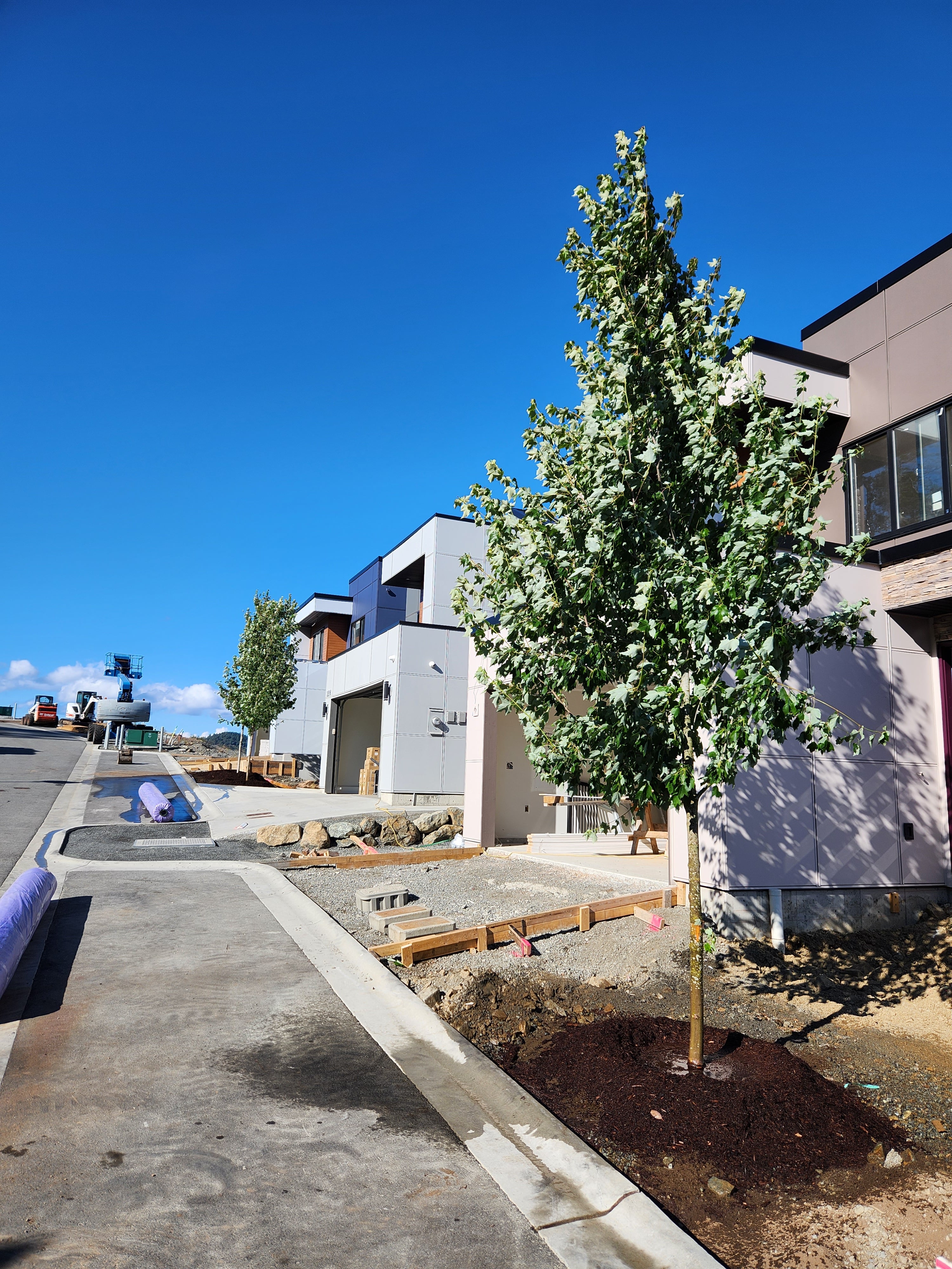 Residential landscaping